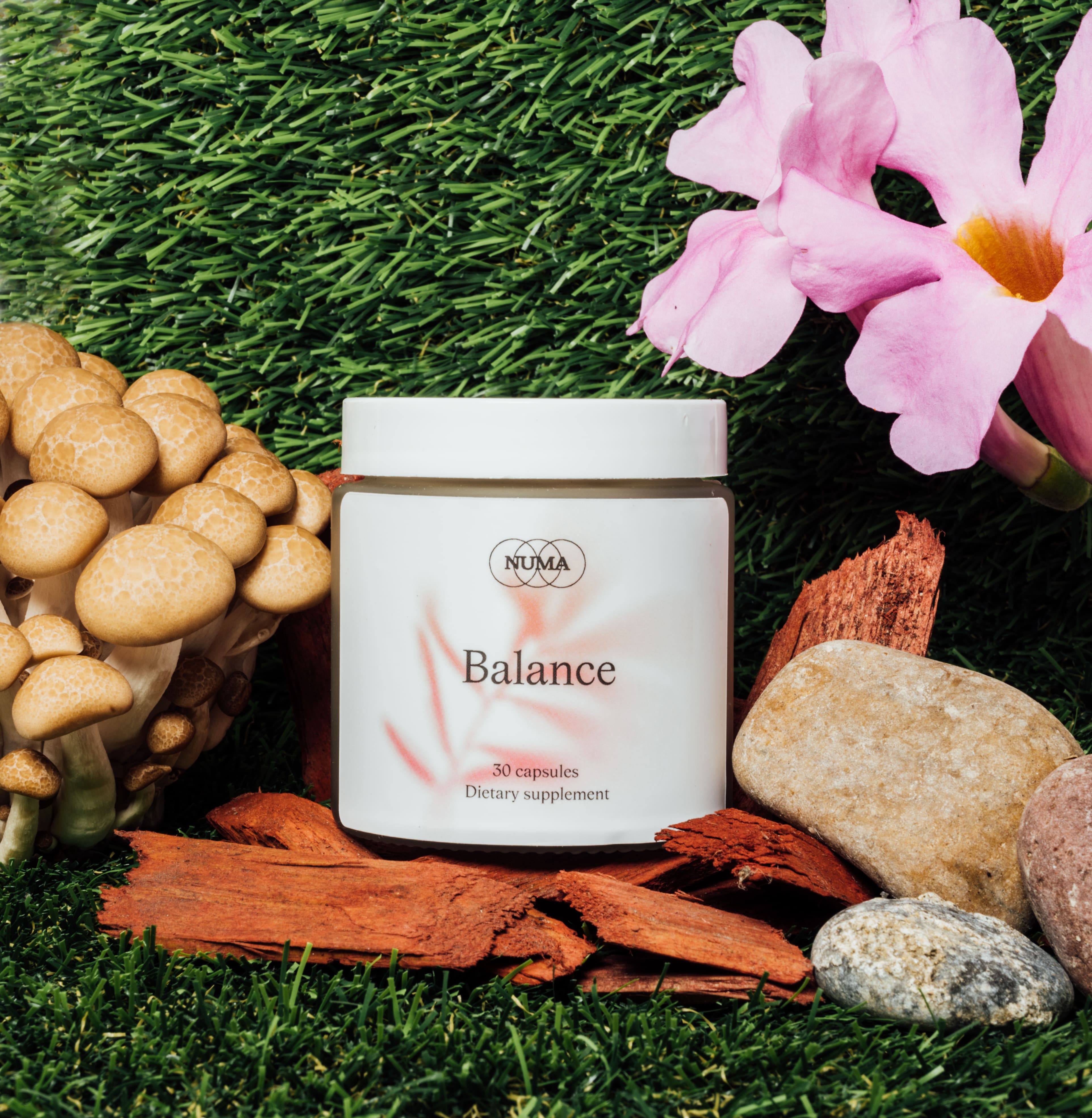 NUMA Balance jar with mushrooms, bark and flowers